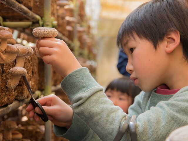 ���q���̂����̎ʐ^1