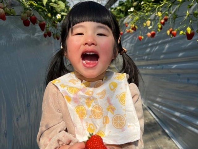 �R�����[�J���t�@�[���y���������z