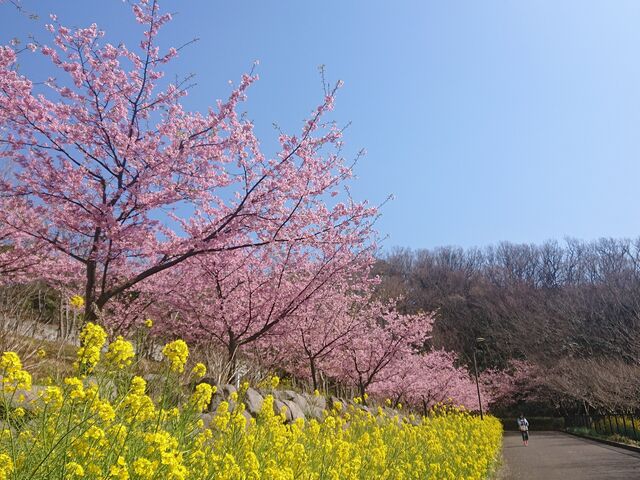 ���^�������̎ʐ^1