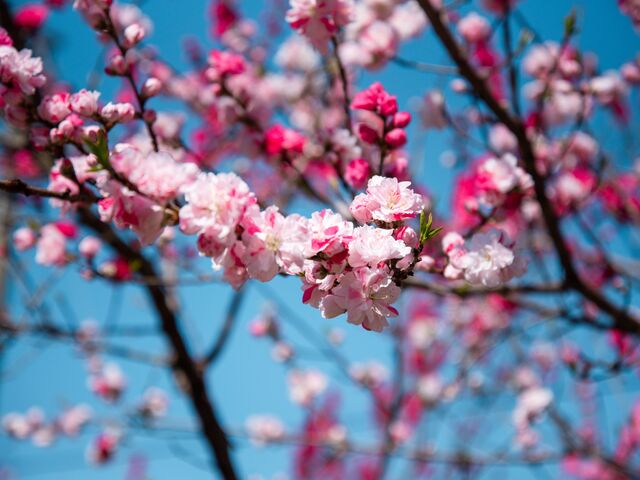 �㓪���ԓ���L