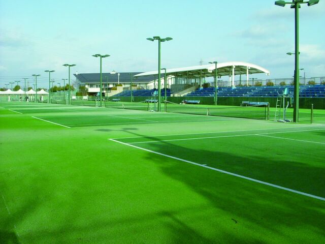 �V���s�닅��̎ʐ^1