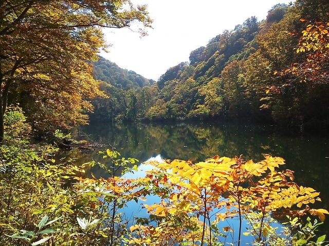 �J�����r�i�܂����������j