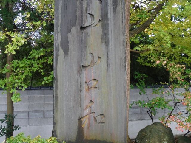 �R�����R�񓿔�̎ʐ^1