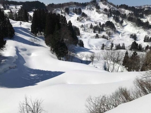 �͘F���t���Ö��Ƃő؍݁@�~�̕�炵���i�c�A�[