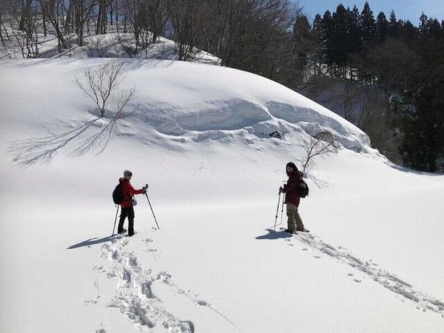 �͘F���t���Ö��Ƃő؍݁@�~�̕�炵���i�c�A�[