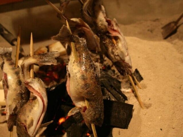 �͘F���t���Ö��Ƃő؍݁@�~�̕�炵���i�c�A�[