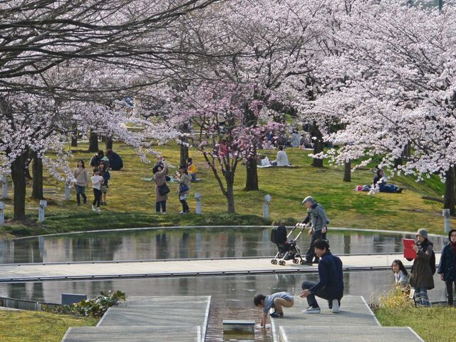 ���R�����E�󒆒뉀�̍��̎ʐ^1