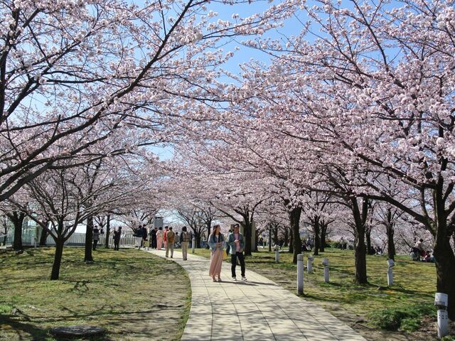 ���R�����E�󒆒뉀�̍�