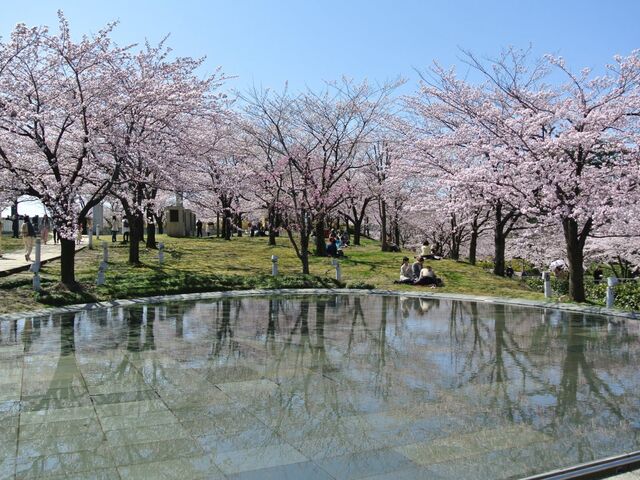 ���R�����E�󒆒뉀�̍�