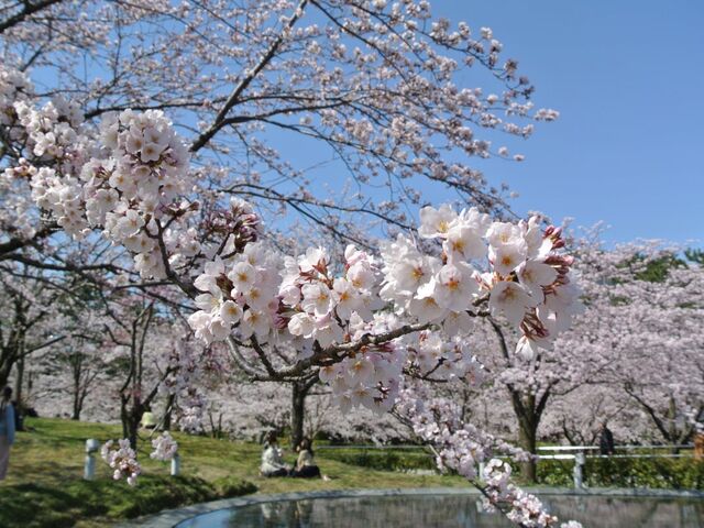 ���R�����E�󒆒뉀�̍�