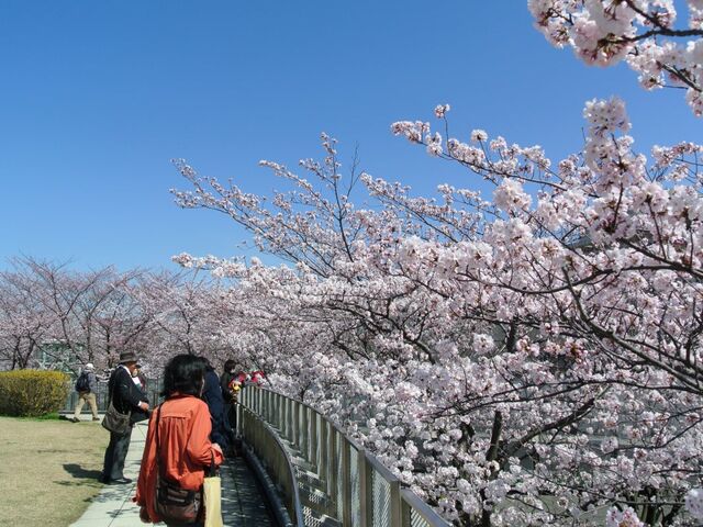 ���R�����E�󒆒뉀�̍�