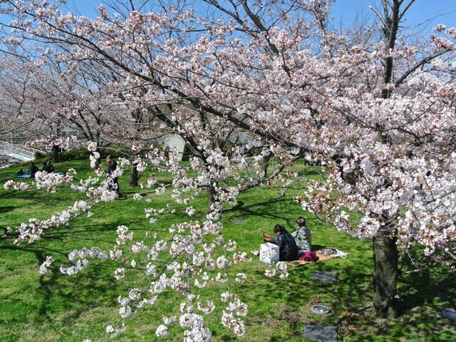 ���R�����E�󒆒뉀�̍�