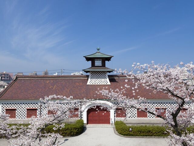 ���V���Ŋ֒��ɂ̍�