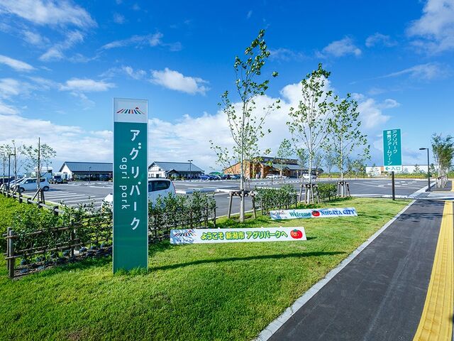 �V���s�A�O���p�[�N