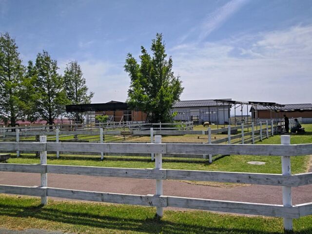 �V���s�A�O���p�[�N