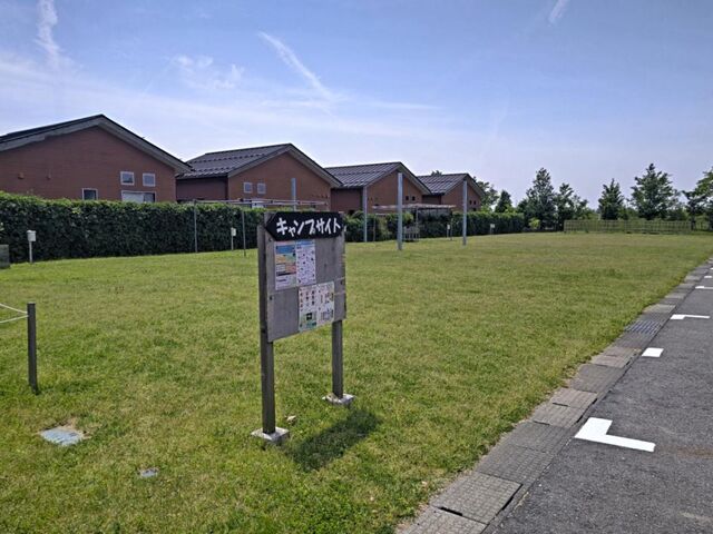 �V���s�A�O���p�[�N