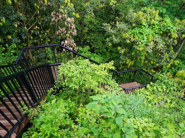 100�N�O�̃g���l����������I�e�s�m�����K�g���l��