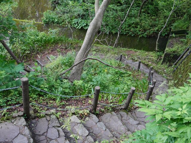 100�N�O�̃g���l����������I�e�s�m�����K�g���l��