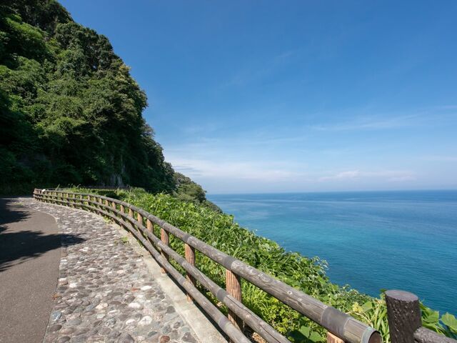 100�N�O�̃g���l����������I�e�s�m�����K�g���l��