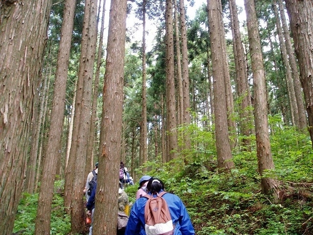 ���R�̒T���ώ@�̎ʐ^1