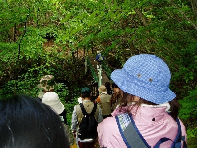 ���R�̒T���ώ@