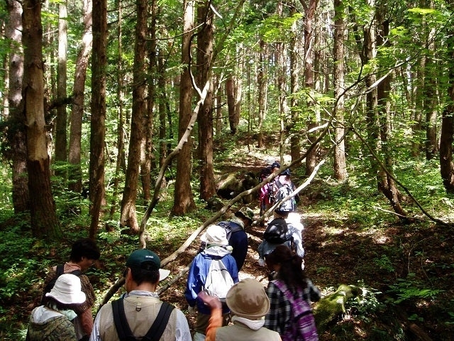 ���R�̒T���ώ@