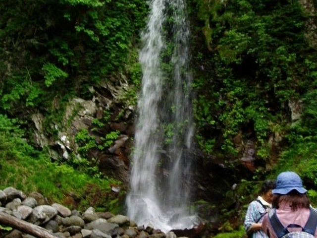 ���R�̒T���ώ@