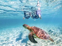 SUNSHINE MARIN �{�Ó��̎ʐ^1