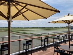 ���킿���y�̎ʐ^1