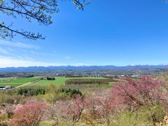 ������R�X�ь����E�W�]�f�b�L�̎ʐ^1