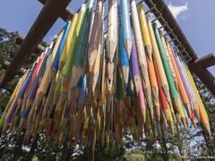 松代城山アート散策(まつだい「農舞台」フィールドミュージアム)の写真1