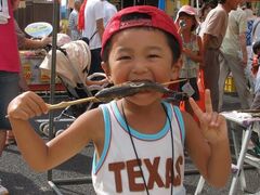 �C���i���ݎ��E���Ă��̌��̎ʐ^