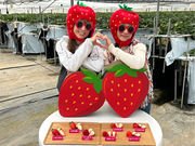 ���܂肢�����̗� LCFARM(�G���V�[�t�@�[��)�̎ʐ^4