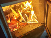 ÖƃTEi ƂƂ̋̎ʐ^2