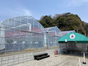 ���q�������t�@�[���̎ʐ^2