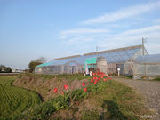 ��󂢂������̎ʐ^3