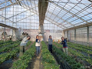 ��󂢂������̎ʐ^2