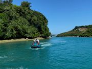 AK�}��������̎ʐ^4