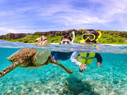 SUNSHINE MARIN �{�Ó��̎ʐ^2