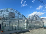 �t�@�~���[�K�[�f��NHW�̎ʐ^3