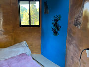 �F��̋� �����̂��̎ʐ^2