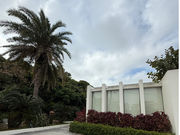 brilliant idea̎ʐ^2