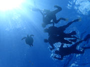 Ί_tHgE~KVm[P Sea starΊ_̎ʐ^2