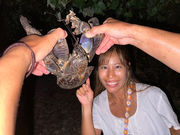 Ί_tHgE~KVm[P Sea starΊ_̎ʐ^4