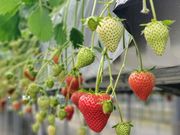 �������_�� �����̎ʐ^3