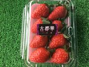 �����ό��_���i���炭��Ȃ�j�̎ʐ^3