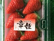 �����ό��_���i���炭��Ȃ�j�̎ʐ^4