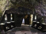 �ΐ쒬�����j���������ف@�C�V�j�N���̎ʐ^3