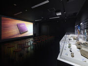 �ΐ쒬�����j���������ف@�C�V�j�N���̎ʐ^4