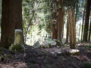 �P�����̎ʐ^3